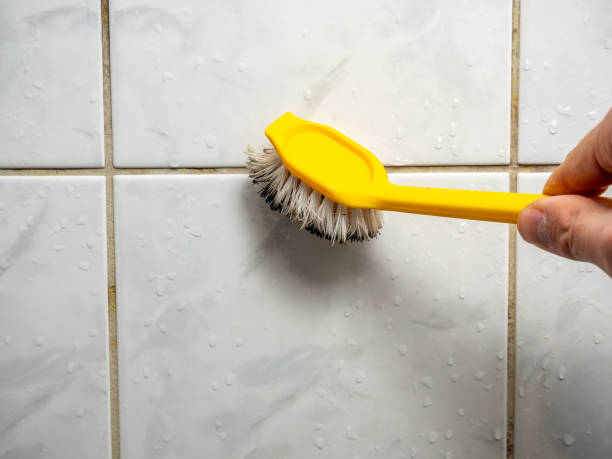 Best Mold Removal Company Near Me  in Kimberly, WI