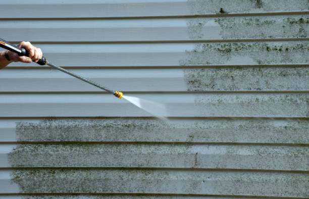 Best Attic Mold Removal  in Kimberly, WI