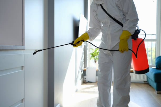 Best Mold Damage Repair  in Kimberly, WI